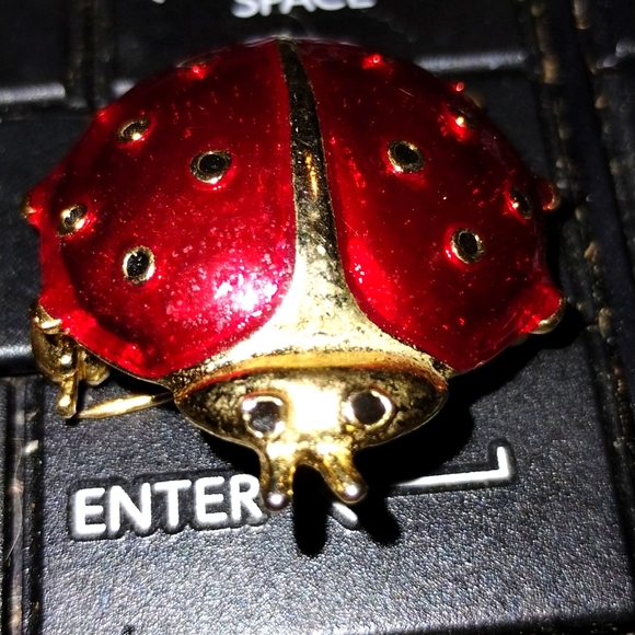 Exquisite vintage red ladybug brooch - Picture 1 of 2
